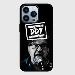 Чехол iPhone 13 Pro ДДТ