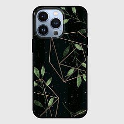 Чехол iPhone 13 Pro Геометрия в природе