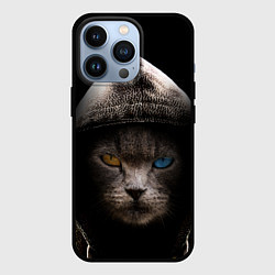 Чехол iPhone 13 Pro Уличный кот
