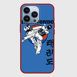 Чехол iPhone 13 Pro Taekwondo