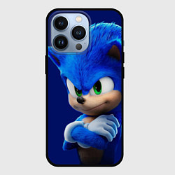 Чехол iPhone 13 Pro SONIC