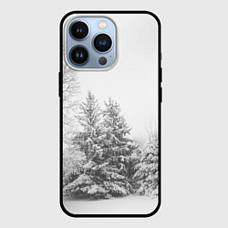 Чехол iPhone 13 Pro Winter Storm