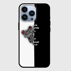 Чехол iPhone 13 Pro Лягуха
