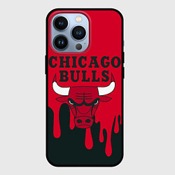 Чехол iPhone 13 Pro Chicago Bulls