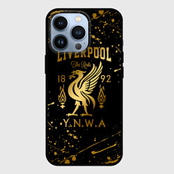 Чехол для iPhone 13 Pro LIVERPOOL ЛИВЕРПУЛЬ, цвет: 3D-черный