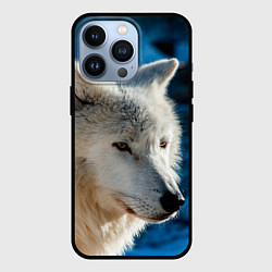 Чехол iPhone 13 Pro Волк на черном фоне