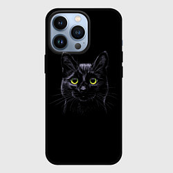 Чехол iPhone 13 Pro Кот