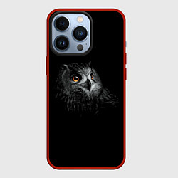 Чехол iPhone 13 Pro Сова