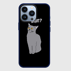 Чехол для iPhone 13 Pro What cat, цвет: 3D-тёмно-синий
