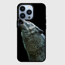 Чехол для iPhone 13 Pro Воющий волк, цвет: 3D-черный