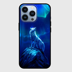 Чехол для iPhone 13 Pro Одинокий Волк, цвет: 3D-черный