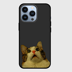 Чехол iPhone 13 Pro Коте смотрит вверх