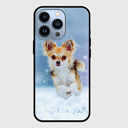 Чехол для iPhone 13 Pro Чихуахуа в снегу, цвет: 3D-черный