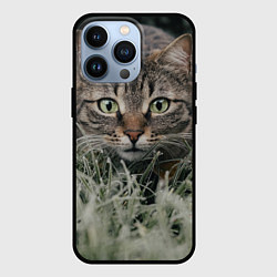 Чехол iPhone 13 Pro Кошка