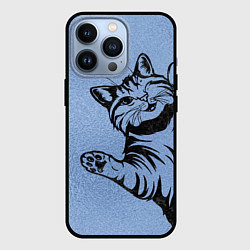 Чехол для iPhone 13 Pro Улыбающийся кот, цвет: 3D-черный