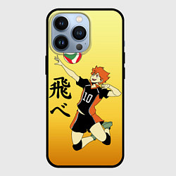 Чехол iPhone 13 Pro Fly High Haikyuu!!