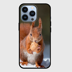 Чехол для iPhone 13 Pro Белка с орехом на снегу, цвет: 3D-черный