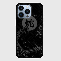 Чехол для iPhone 13 Pro Кобра, цвет: 3D-черный