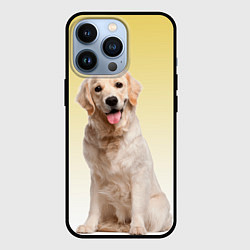 Чехол iPhone 13 Pro Лабрадор ретривер пес