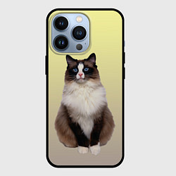 Чехол iPhone 13 Pro Персидская пушистая кошка