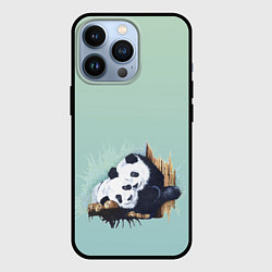Чехол iPhone 13 Pro Акварельные панды
