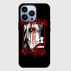 Чехол iPhone 13 Pro Cannibal Corpse 2