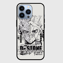 Чехол iPhone 13 Pro Dr Stone Senkuu