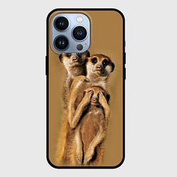 Чехол для iPhone 13 Pro Сурикаты, цвет: 3D-черный