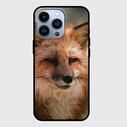 Чехол iPhone 13 Pro Строгая лисица