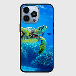 Чехол iPhone 13 Pro Морская черепаха