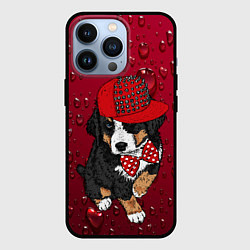 Чехол для iPhone 13 Pro Cool Dog, цвет: 3D-черный