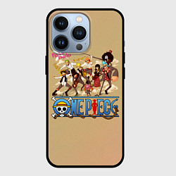 Чехол iPhone 13 Pro Пираты Соломенной Шляпы One Piece