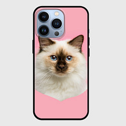 Чехол iPhone 13 Pro Пушистый кот