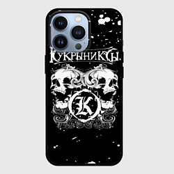 Чехол iPhone 13 Pro Кукрыниксы черепа