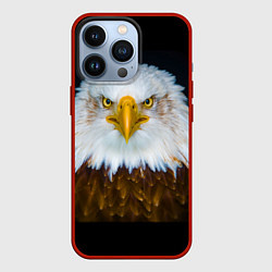 Чехол iPhone 13 Pro Белоголовый орлан