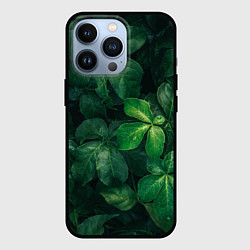 Чехол iPhone 13 Pro Тропическая листва Тропики Z