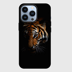 Чехол для iPhone 13 Pro Год тигра Голова, цвет: 3D-черный