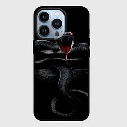 Чехол iPhone 13 Pro ЗМЕЯ НА КАМНЕ НА ЧЕРНОМ ФОНЕ