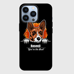 Чехол iPhone 13 Pro Басенджи Basenji