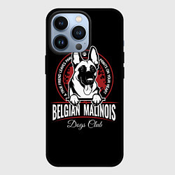 Чехол iPhone 13 Pro Бельгийская Овчарка Малинуа
