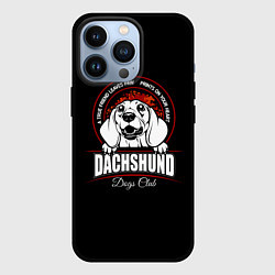 Чехол iPhone 13 Pro Такса Dachshund