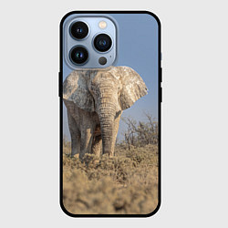 Чехол iPhone 13 Pro Африканский белый слон