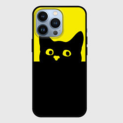 Чехол для iPhone 13 Pro Котик голова кота, цвет: 3D-черный