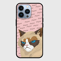 Чехол iPhone 13 Pro Angry Cat Злой кот