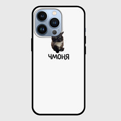 Чехол iPhone 13 Pro Кот чмоня