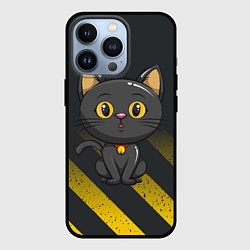 Чехол iPhone 13 Pro Черный кот желтые полосы