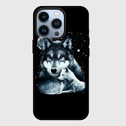 Чехол для iPhone 13 Pro Ночные Волки, цвет: 3D-черный
