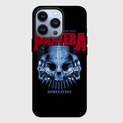 Чехол iPhone 13 Pro Pantera Domination