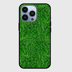 Чехол для iPhone 13 Pro ЗЕЛЕНЫЙ ГАЗОН, цвет: 3D-черный