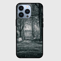 Чехол для iPhone 13 Pro Мрачный особняк, цвет: 3D-черный